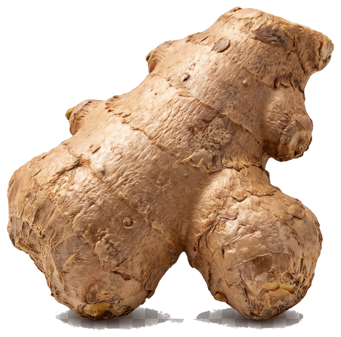 Gingembre frais