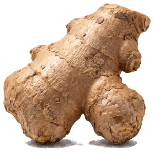 Gingembre frais
